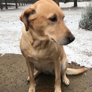 Meet your Posher, Anah